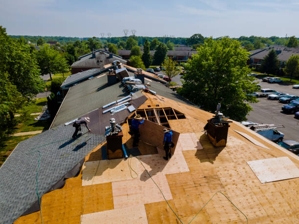 Best Roof Waterproofing Services  in South Hill, VA