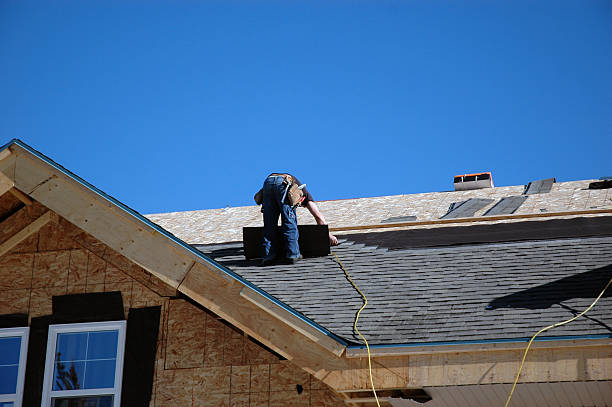 Best Roof Gutter Cleaning  in South Hill, VA