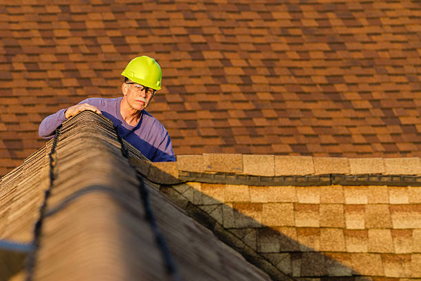 Best Sealant for Roof  in South Hill, VA