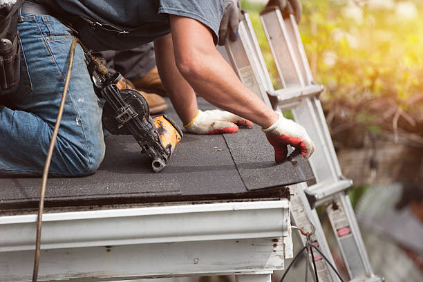 Best Local Roofing Companies  in South Hill, VA