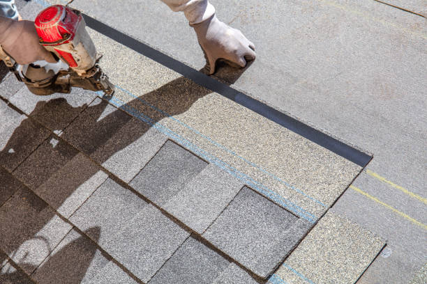 Best Roof Repair Services  in South Hill, VA